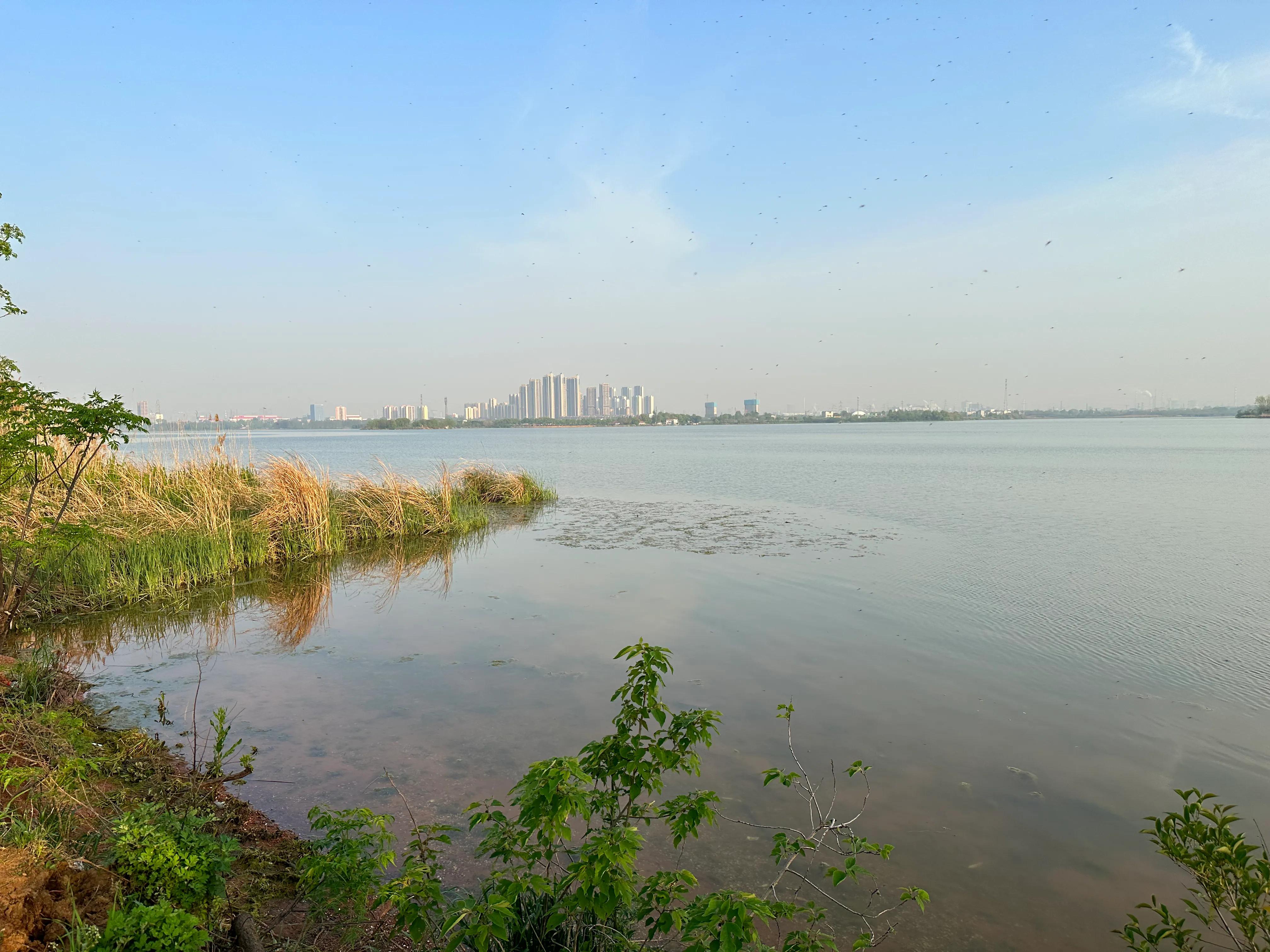 反噬小说最新章节列表,反噬2在线阅读