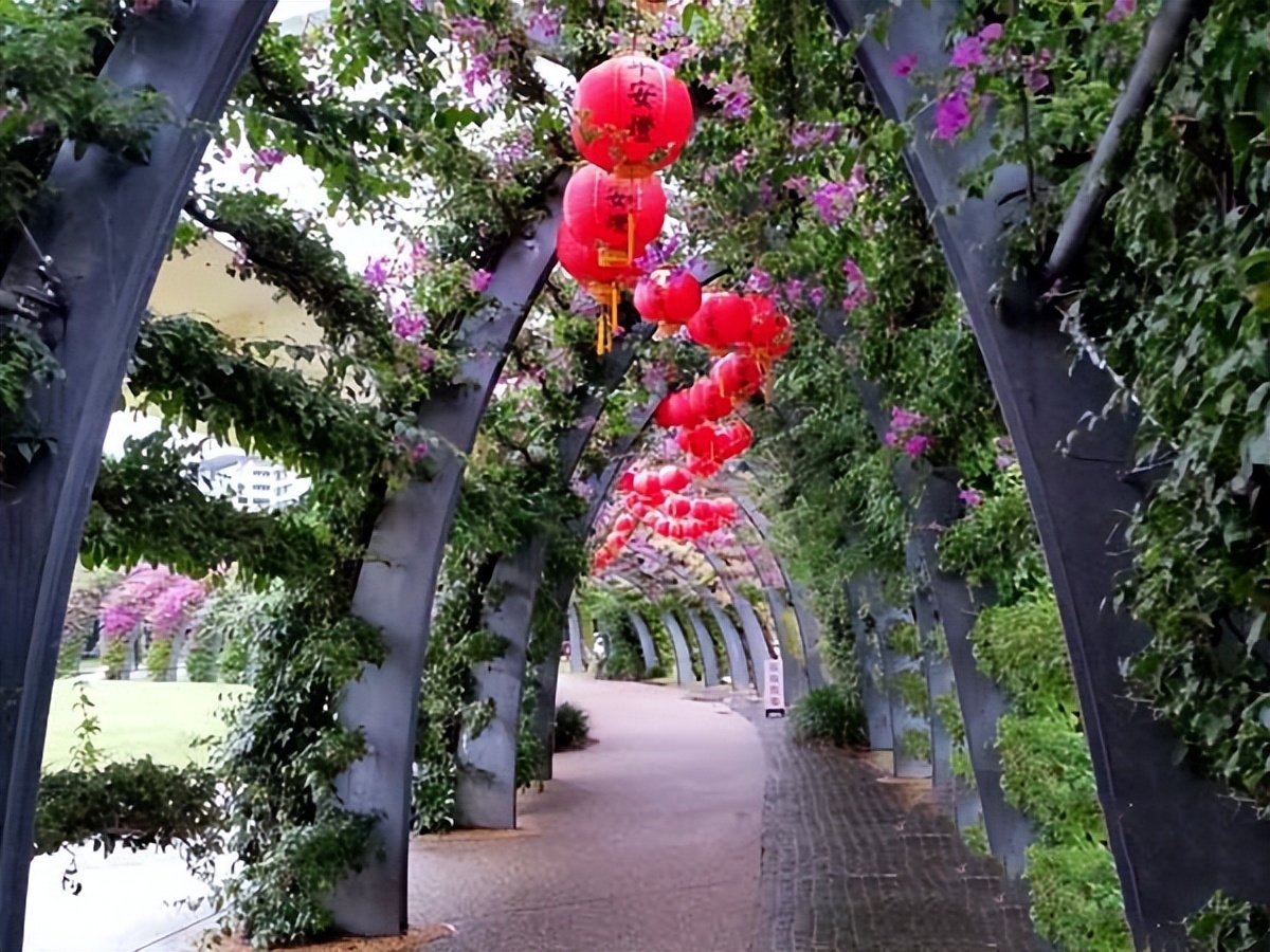 昆士兰洲纯玩自由行攻略,大洋洲除了澳大利亚哪里适合旅游