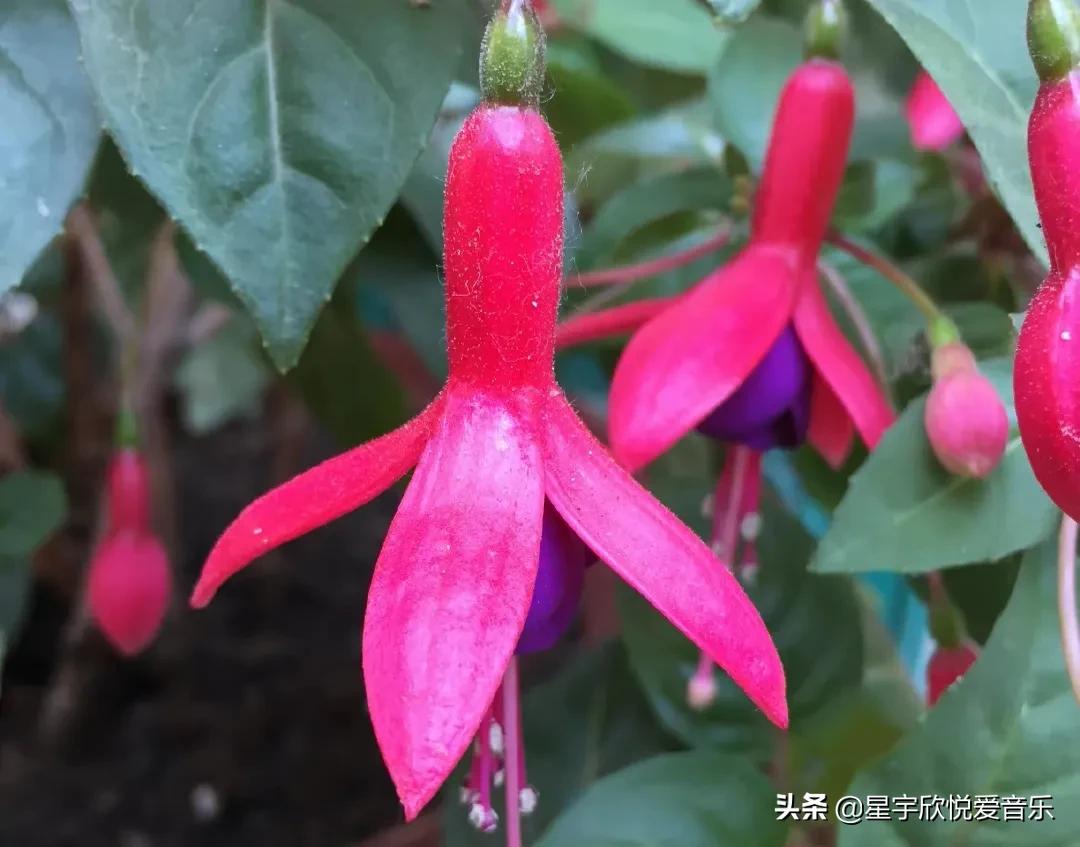 分享惊艳的图片,分享美景的图片卡点