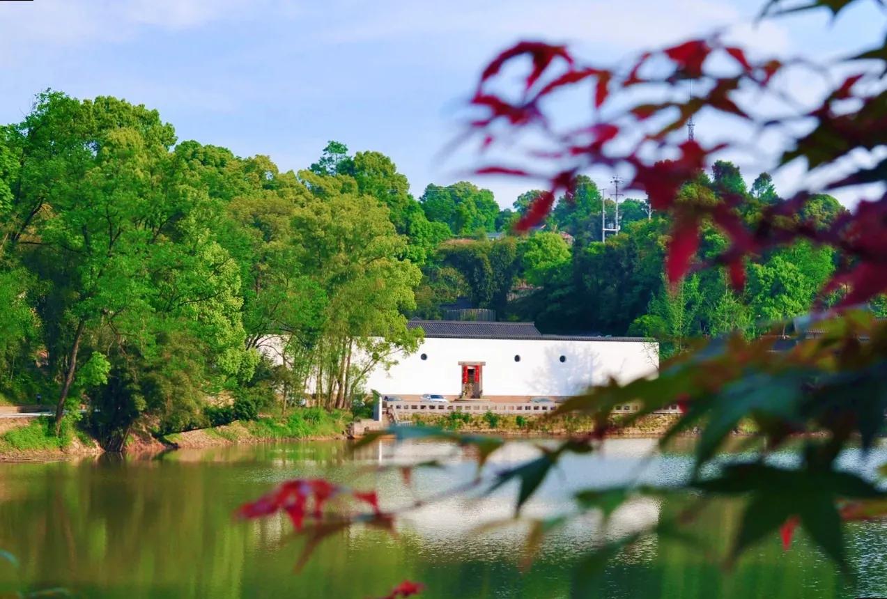 斜门正道，却尽出正人君子——走进巴南，探秘百年廖氏传奇故事