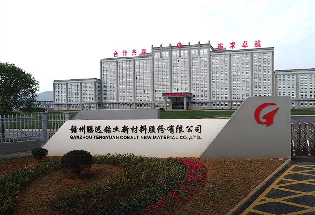 腾远钴业超募资金,腾远钴业为什么这么早上市