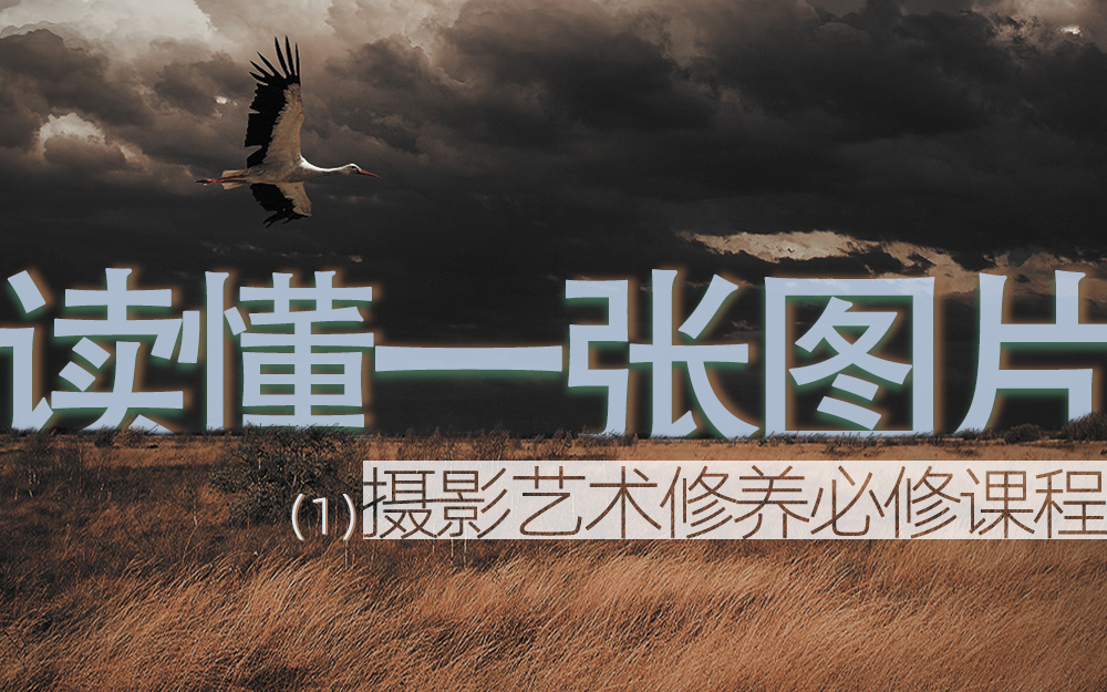 读马语者的感悟,一分钟看懂一幅摄影作品