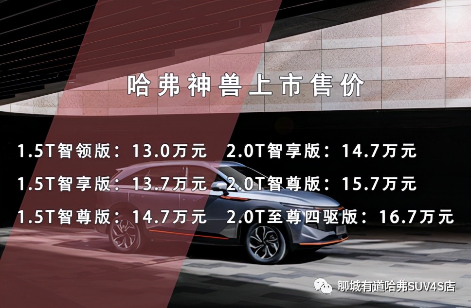 售价13万起，哈弗神兽聊城上市-聊城站