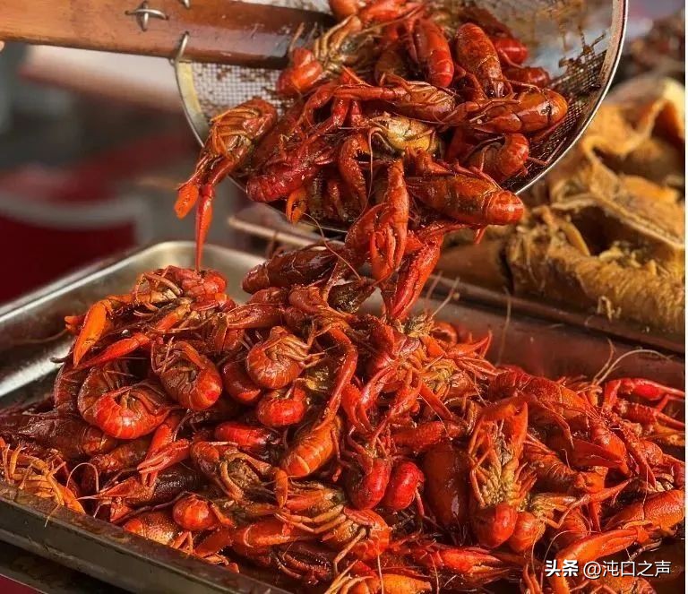 武汉沌口体育中心端午活动,沌口体育中心元宵节活动