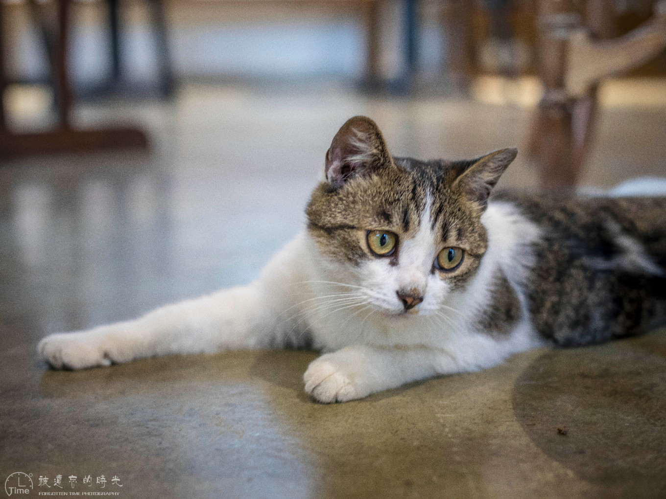 长沙最有特色的咖啡馆在哪里,长沙风景特别好的咖啡馆