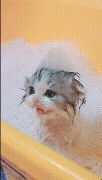 再也不喝酒了叫了个女代驾,叫个女代驾花了1800是什么梗