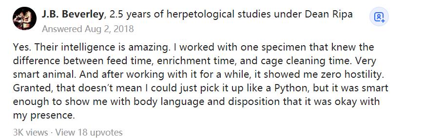 巨大眼镜王蛇被蛇獴杀死,泰国蛇王被咬死