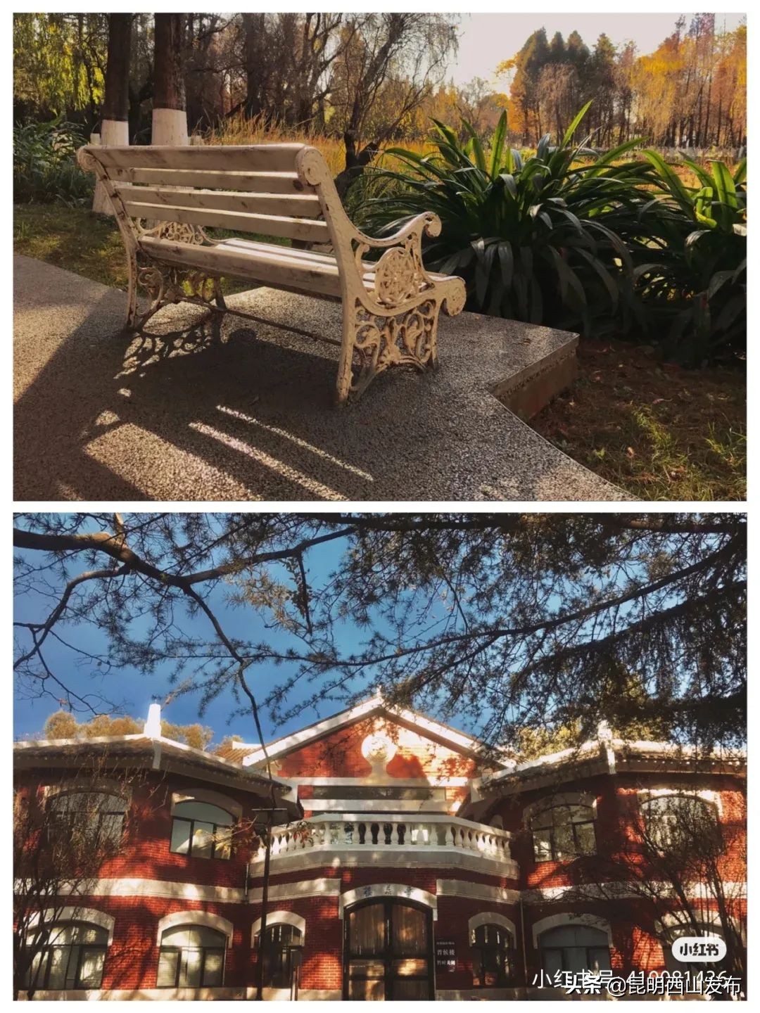 你的手机都藏哪里,你的手机藏着秘密