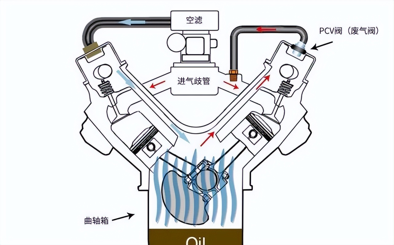 到底靠不靠谱？店里洗要花300多，自己洗三元只要30元