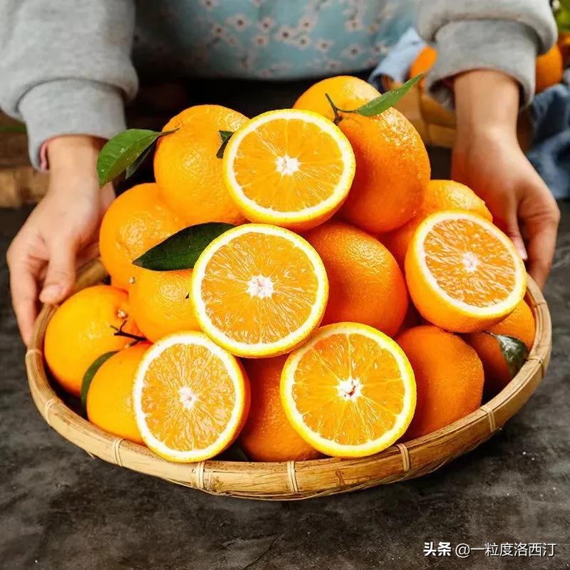 每日一读|接天莲叶无穷碧,映日荷花别样红