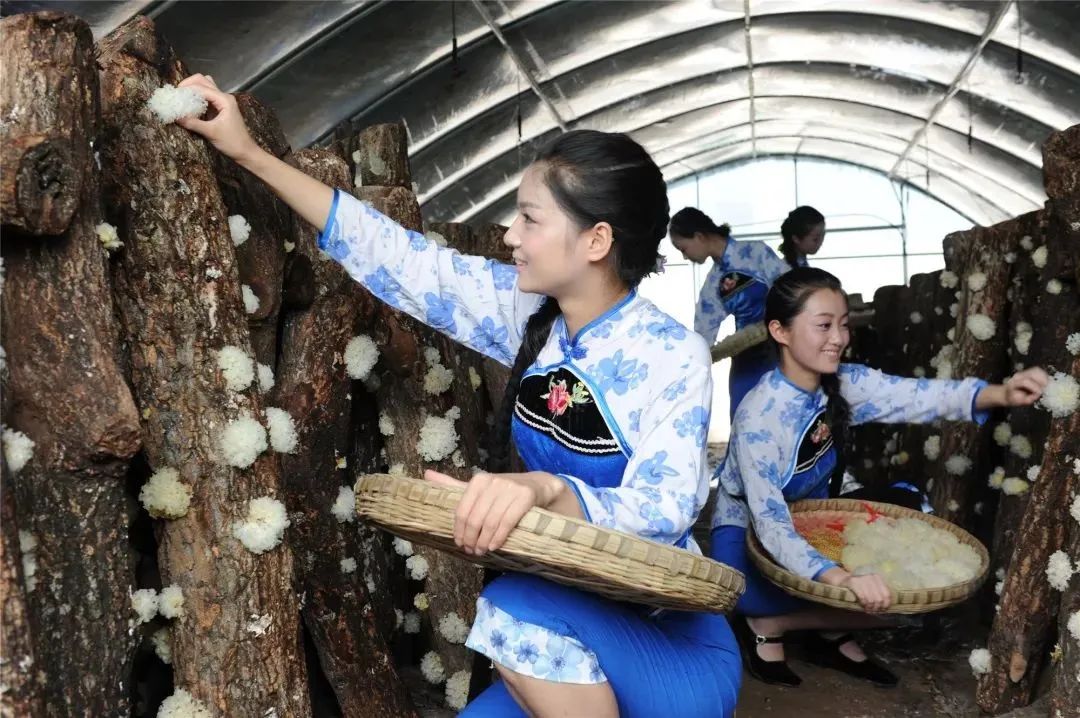 创建天府旅游名县射洪展风采,射洪争创天府旅游名县