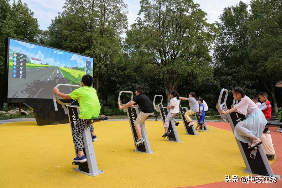 合肥最新打卡公园,合肥免费运动公园