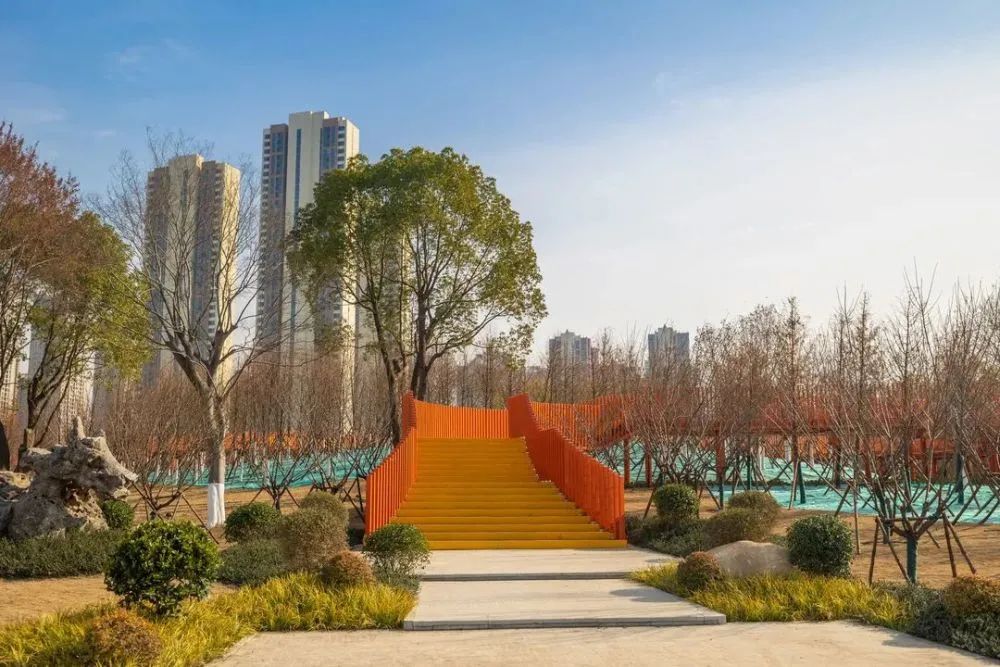 最新武汉好消息,武汉好消息今日头条