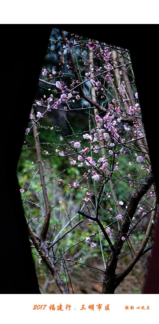 山海人画廊,山海画廊福建省