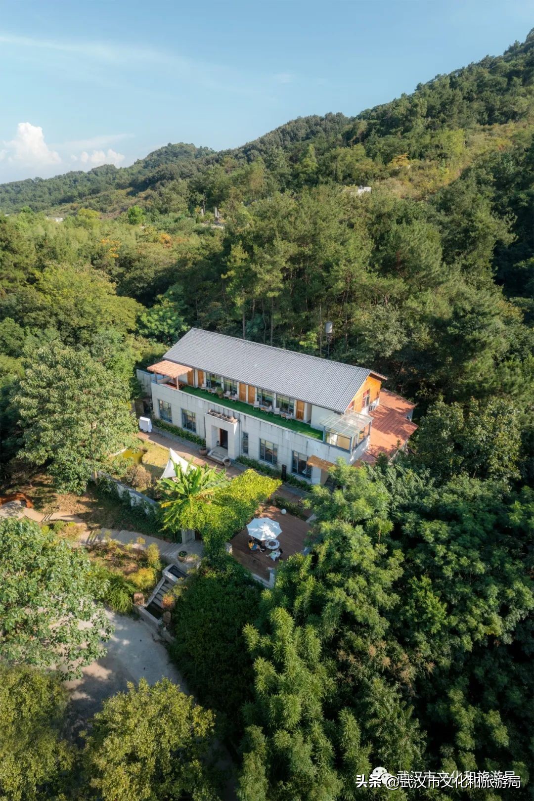 武汉夏天凉快的游玩地方,武汉凉快又免费的景点