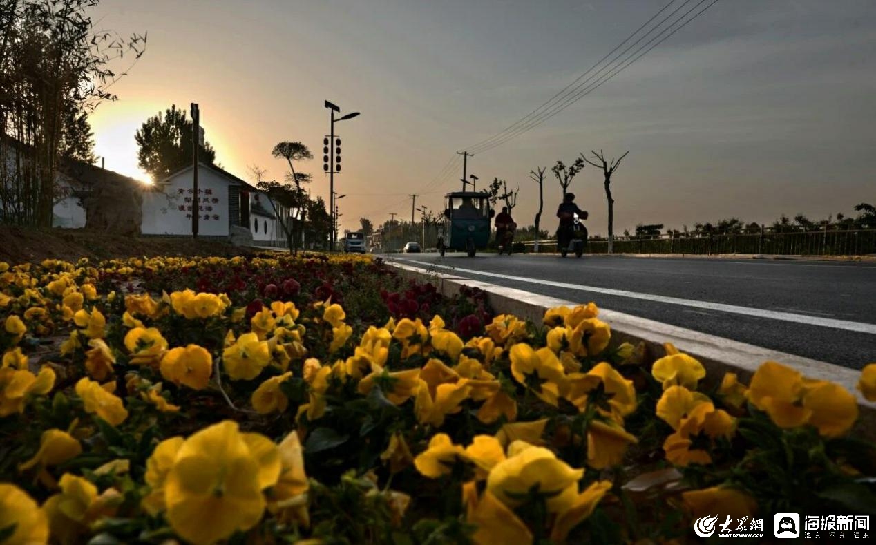 潍坊创建“东亚文化之都”丨走进省级景区村庄——“西许戈村”