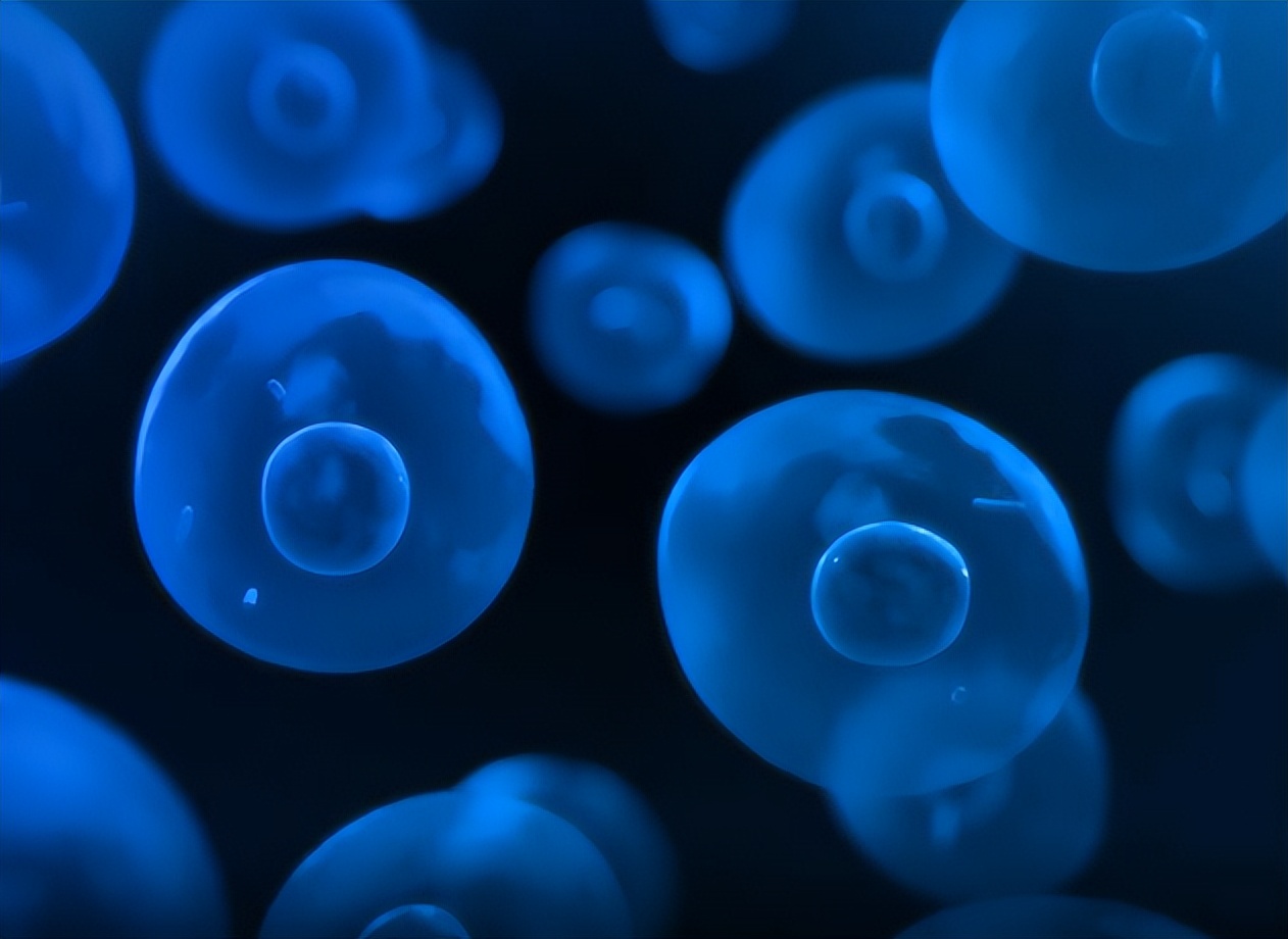 一个单身女青年的疑问,一位单身女性的疑惑