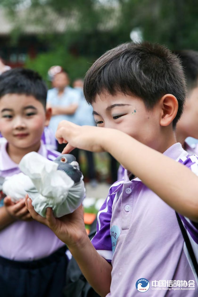 宋庆龄故居内和平鸽舍,建党100周年庆祝大会放飞和平鸽