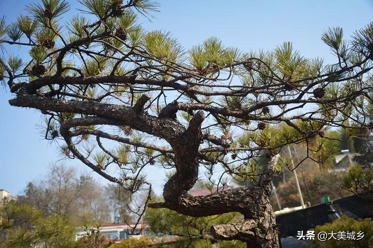 农村普通人做生意,农村人做点小生意不容易啊