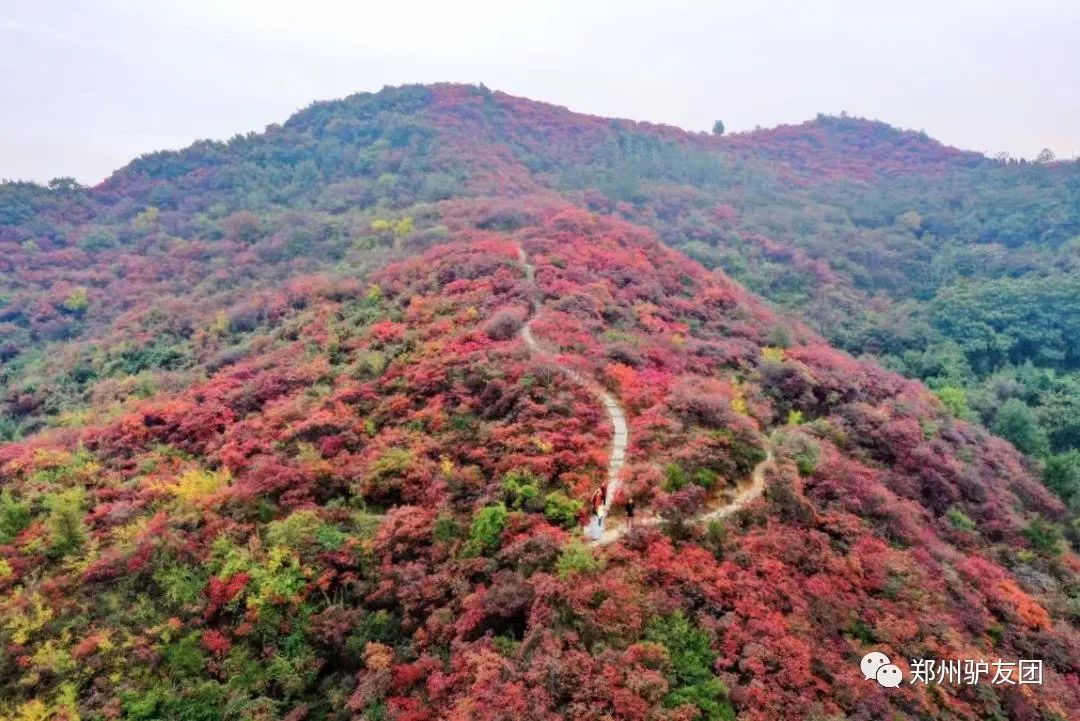 郑州最近赏红叶最佳的地方,靳家岭红叶和长寿山红叶哪个好看