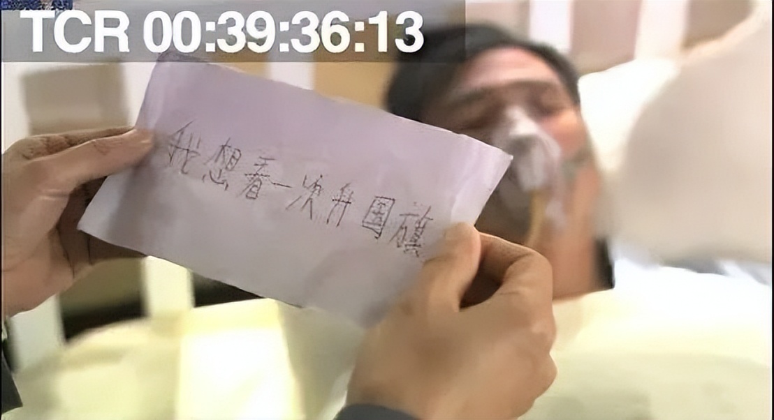 伪装者一生必看的三部谍战片,谍战剧潜伏和伪装者哪个好看