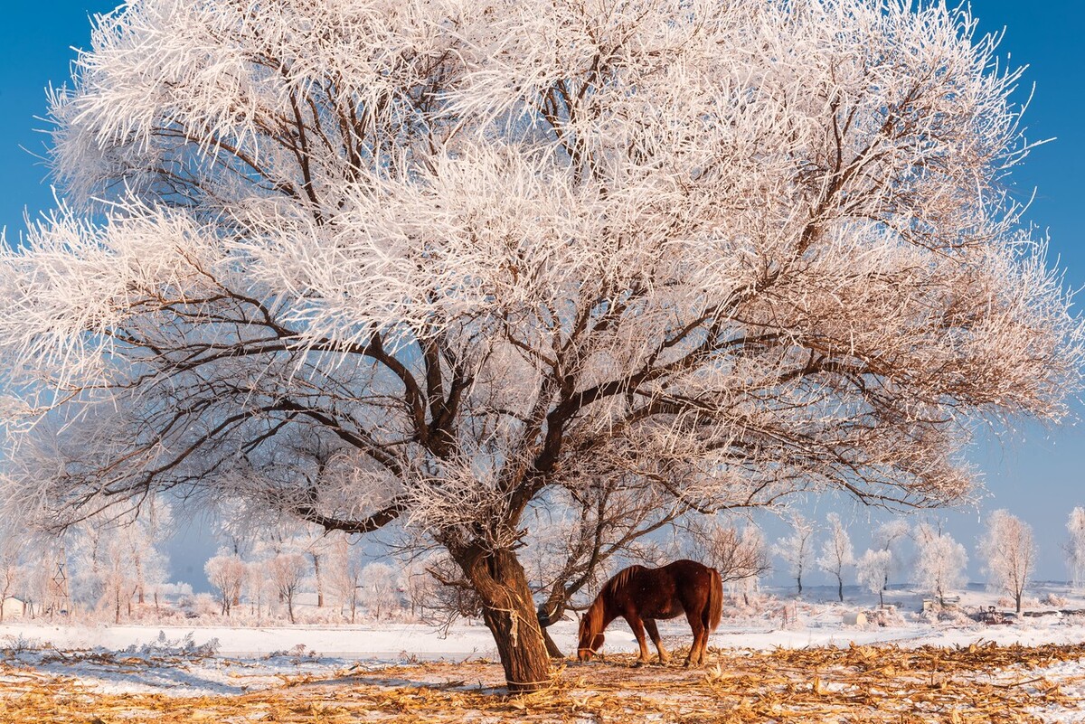 二月适合去哪旅游4天,二月适合去哪里旅行最好