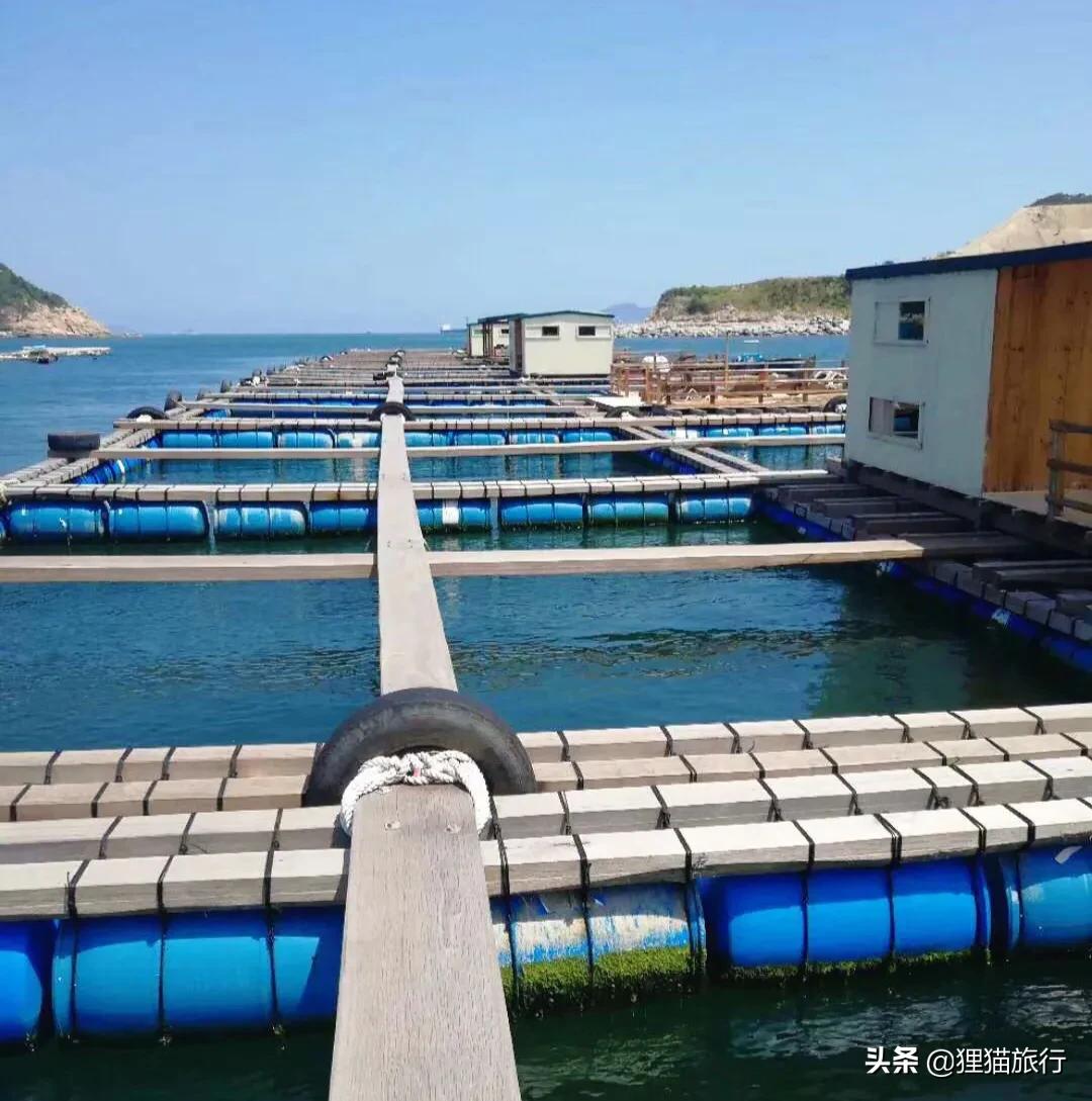 桂山岛位置最好,珠江口桂山岛风景区