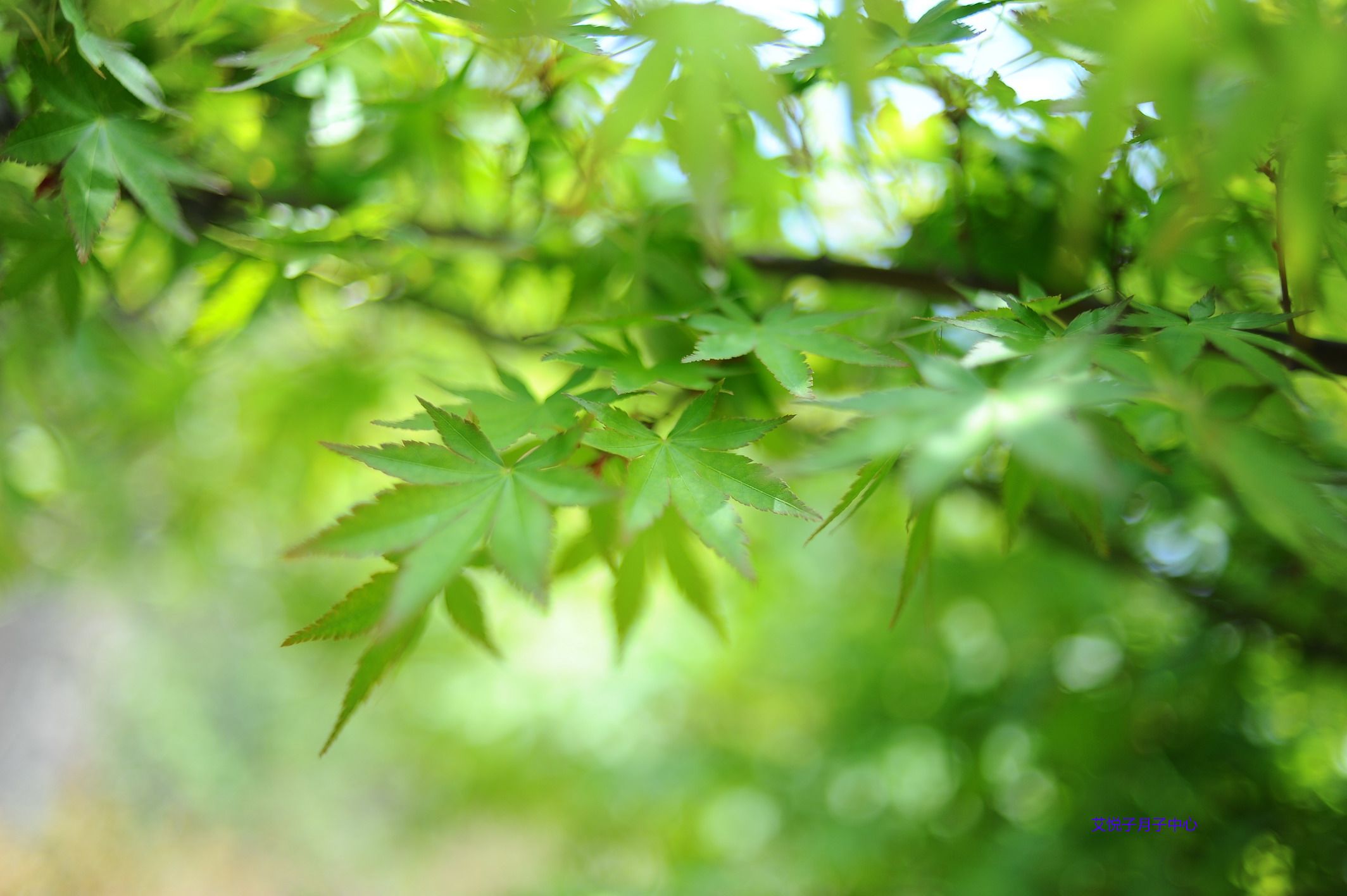 体验一次坐月子是什么感受,月子中心到底要不要一对一