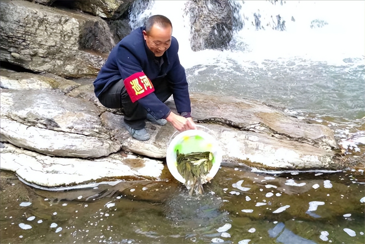 湖北一山洞吐鱼视频,湖北一山洞每年吐鱼