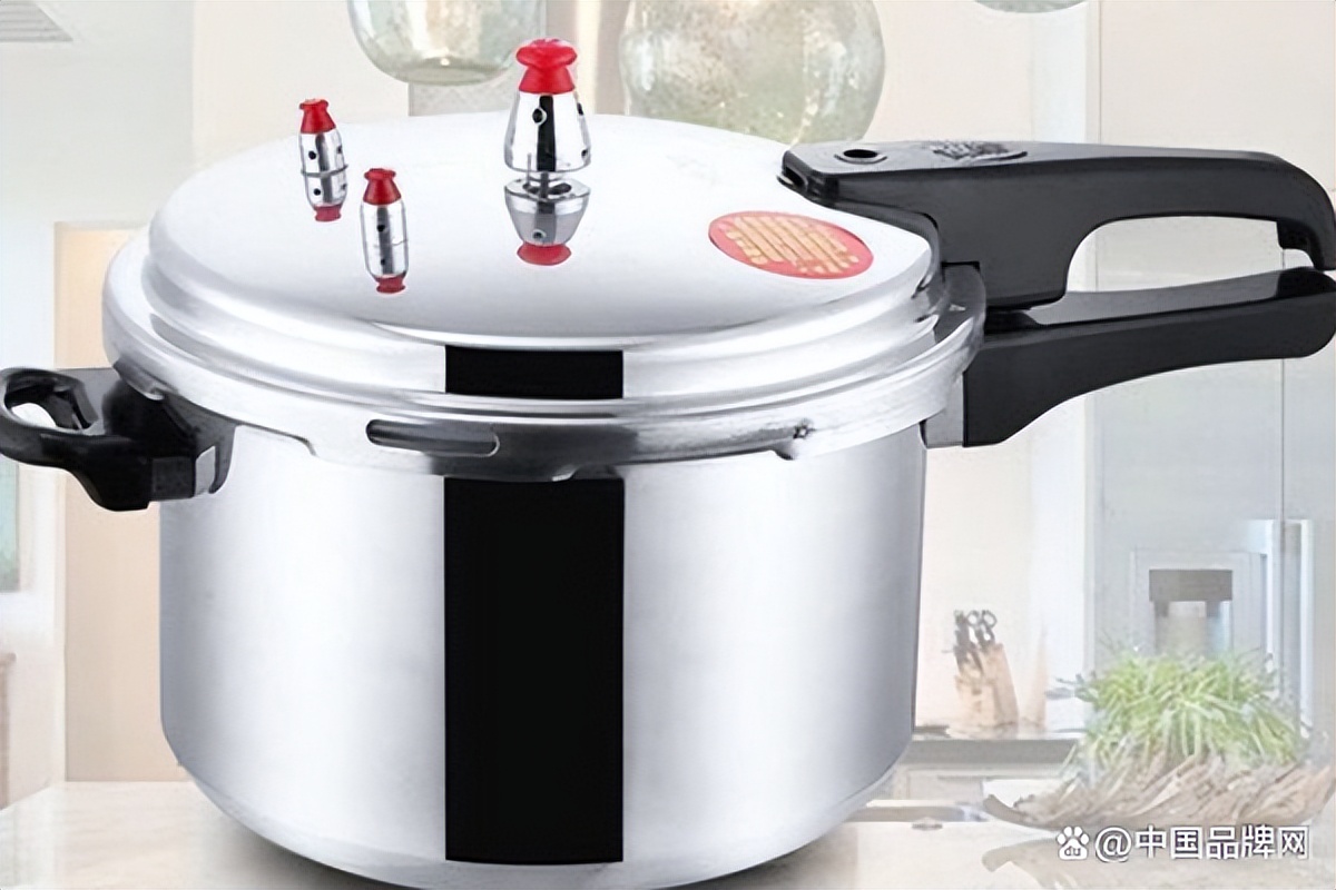 哪个品牌电压力锅性价比高又实惠,哪个品牌的压力煲质量好