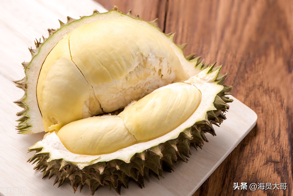 小说第16章离开,第十六章踏上征途