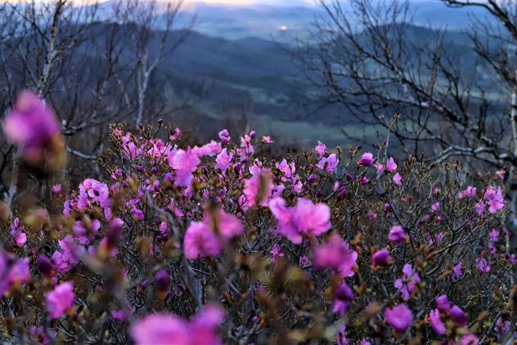 春节不应该买的食物,春节期间这些东西不要买