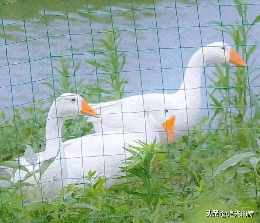 陪你看海的人比海更温柔,陪你看海的人比海温柔出处