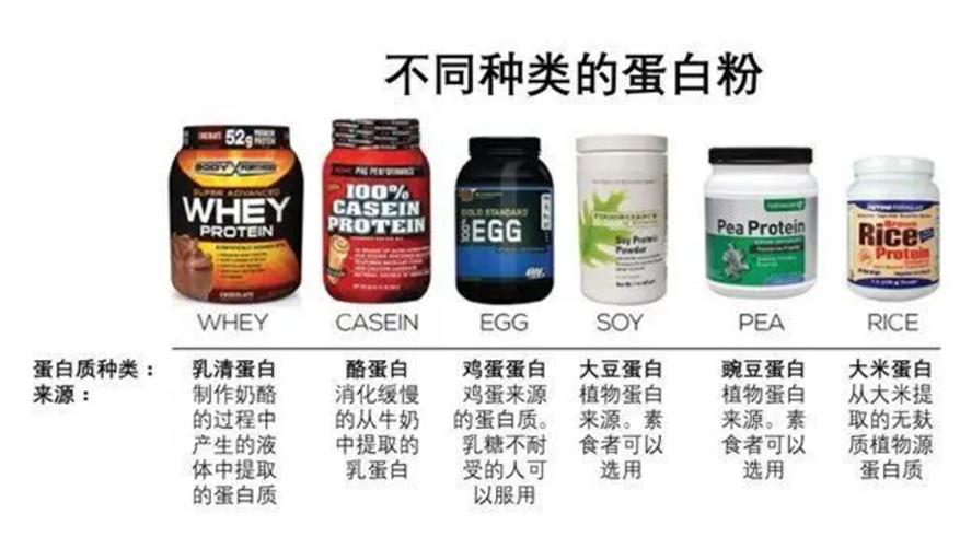 健身蛋白粉和保健蛋粉有什么区别,健身鸡蛋白和蛋白粉的区别