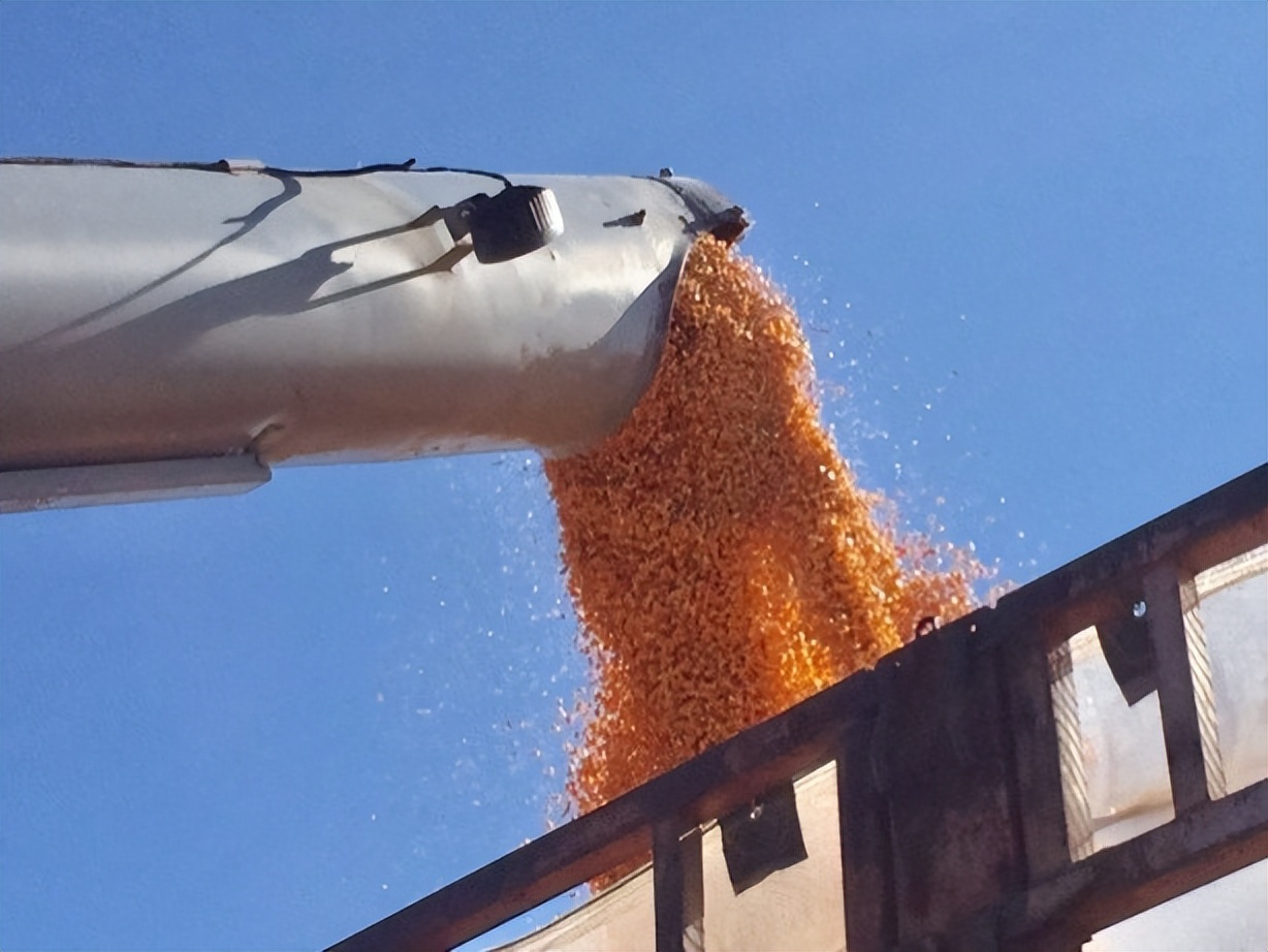 农机展联合收割机,农机联合收割机展会2020