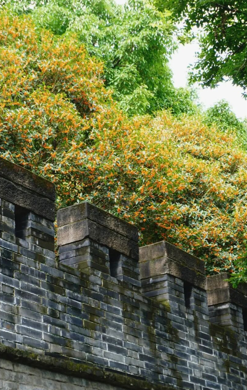 放假去哪里玩又便宜又好玩成都,假期去哪玩便宜又好玩儿成都