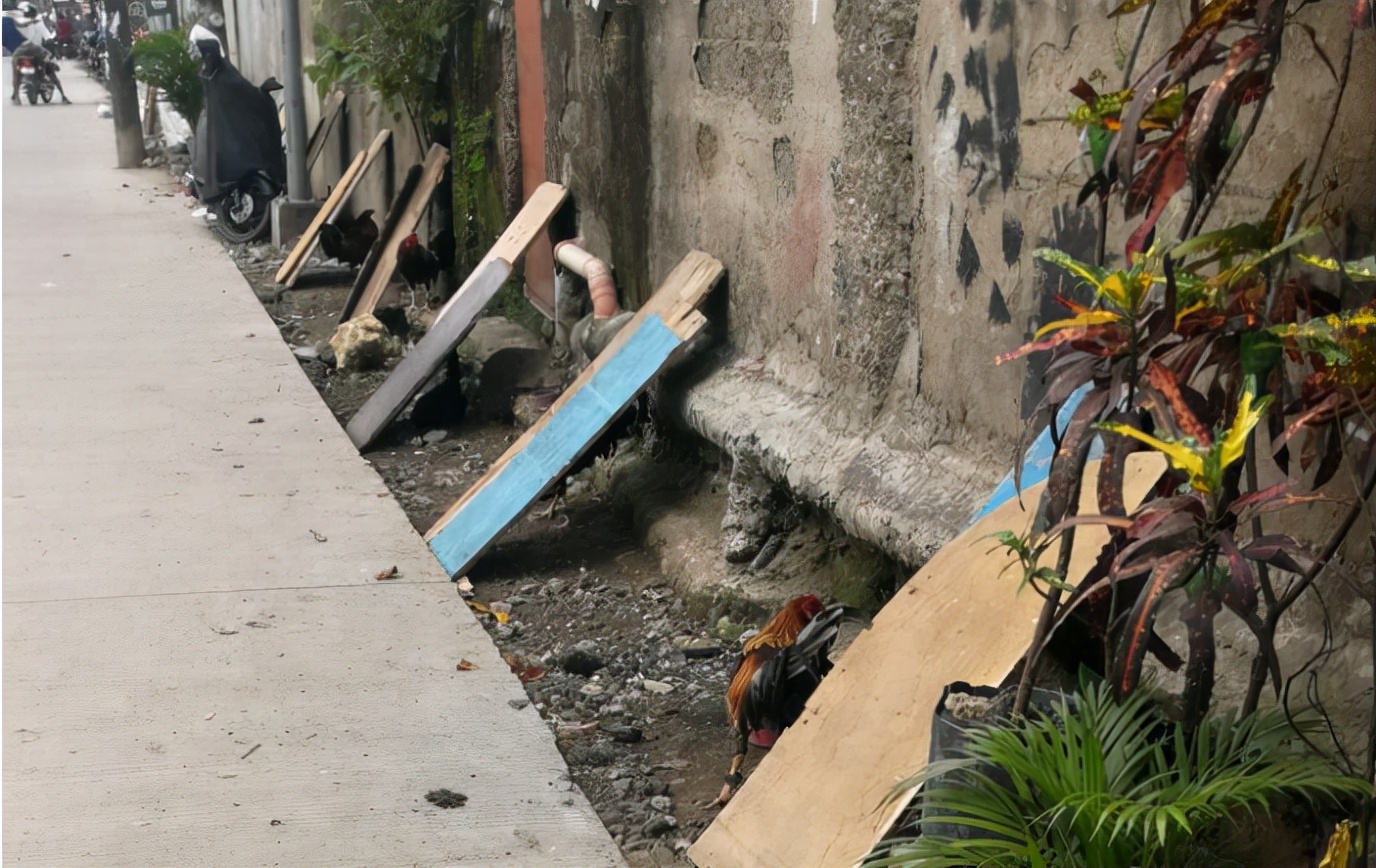 “世界保姆”穷国菲律宾现状，带你看看菲律宾的冷知识