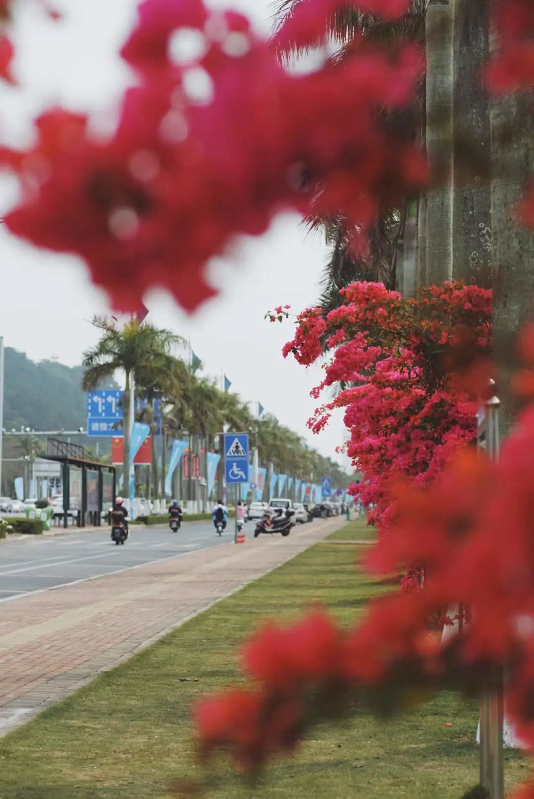 想为你写首诗大全,为你写一首浪漫的情诗