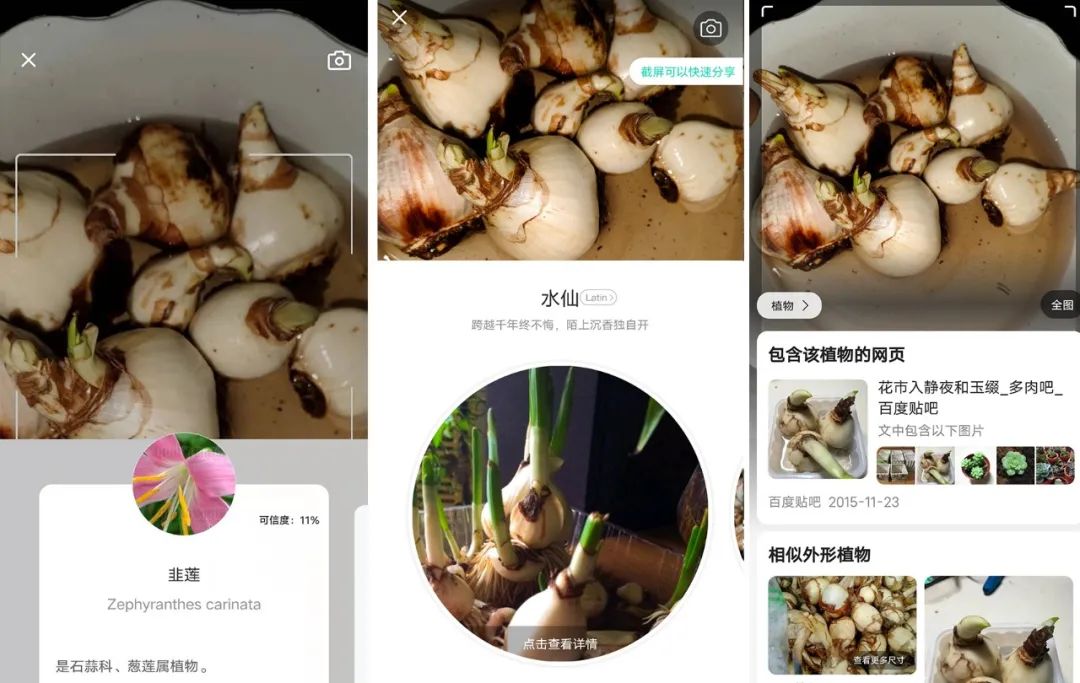 养花好物神器,花友必备神器