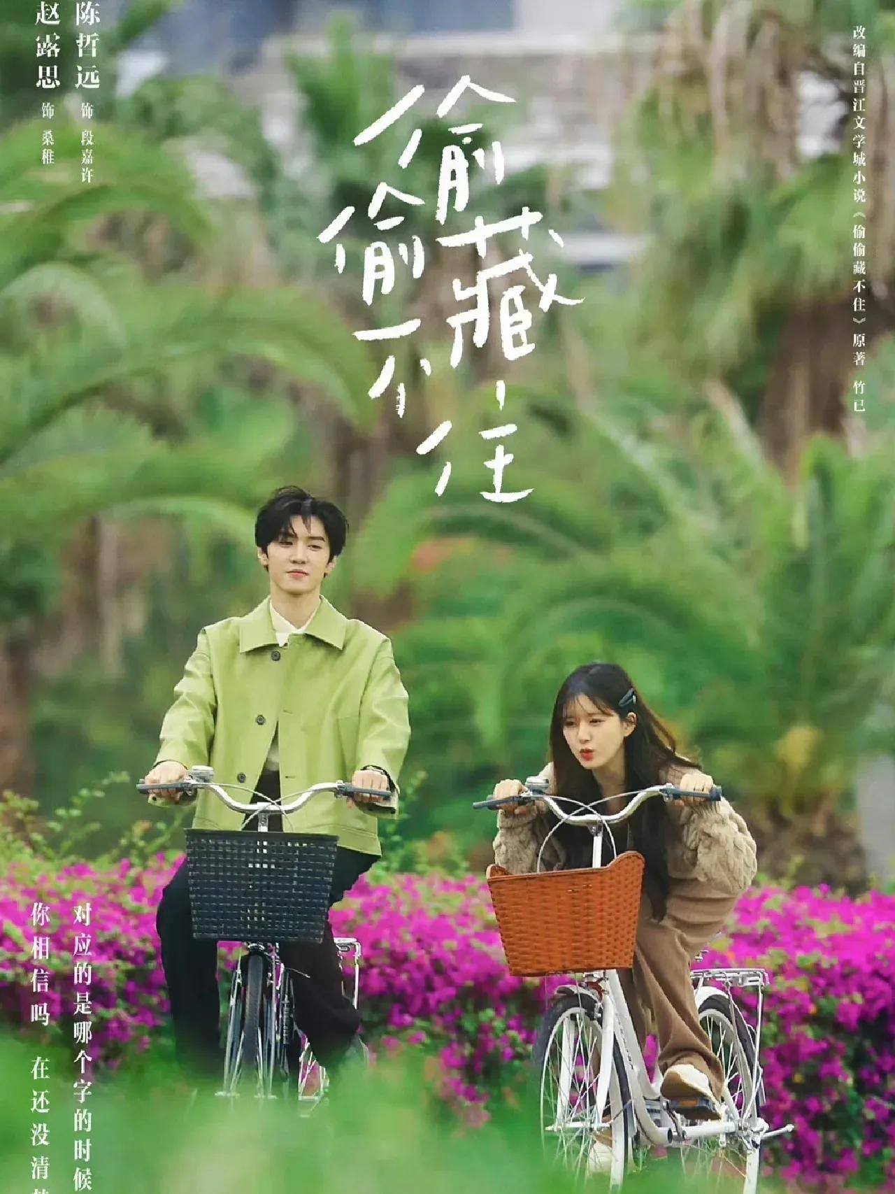 待播剧2023定档合集,各个平台待播剧汇总