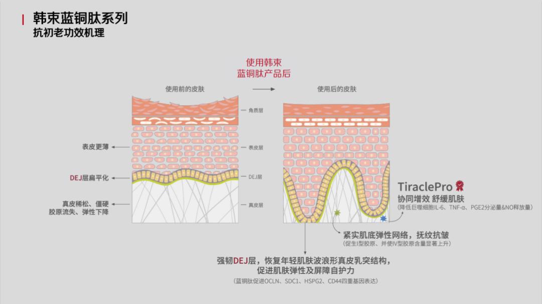 抛开成分概念添加！韩束抢跑“温和抗初老”新赛道