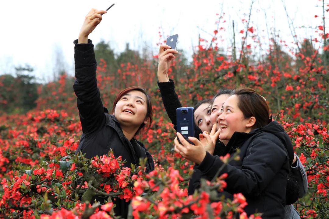青城山镇：奋楫笃行，臻于至善，深耕青山热土！