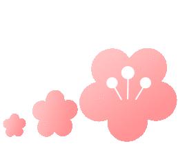 高职单招最佳报名方式,高职单招怎么报名有哪些注意事项