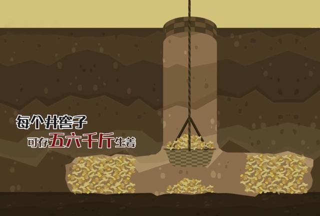 山东男子创办生姜加工厂,男子种植生姜带头致富