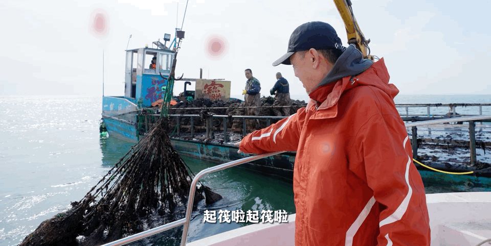 这座不起眼的山东小城，搞生蚝能有多猛？