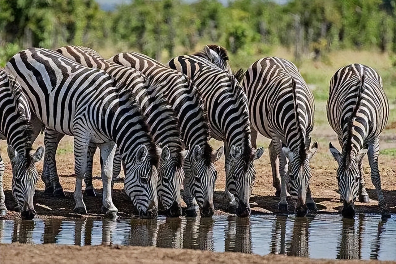 有多少诺贝尔奖得主不相信进化论,为什么越来越多的人不相信进化论