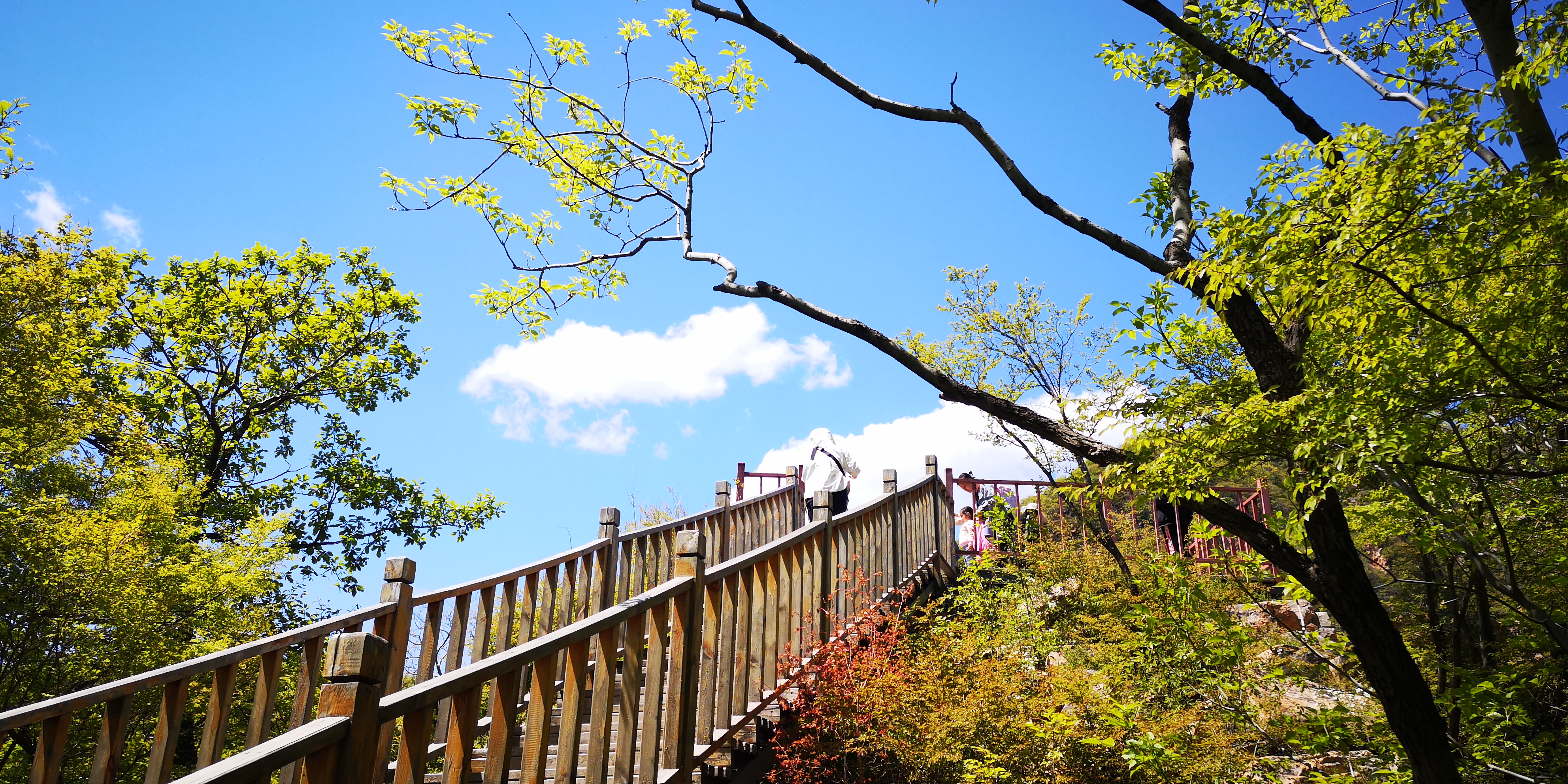 天津梨木台景区值得夏天去的地方,天津蓟县梨木台风景区路线