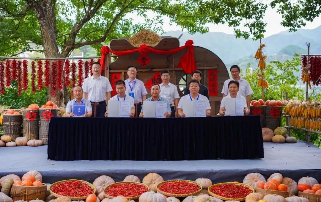 国际旅游村长峰会,第二届乡村旅游大会