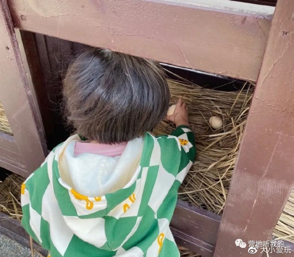 北京适合孩子玩的农场,一年四季都可以去的亲子农场