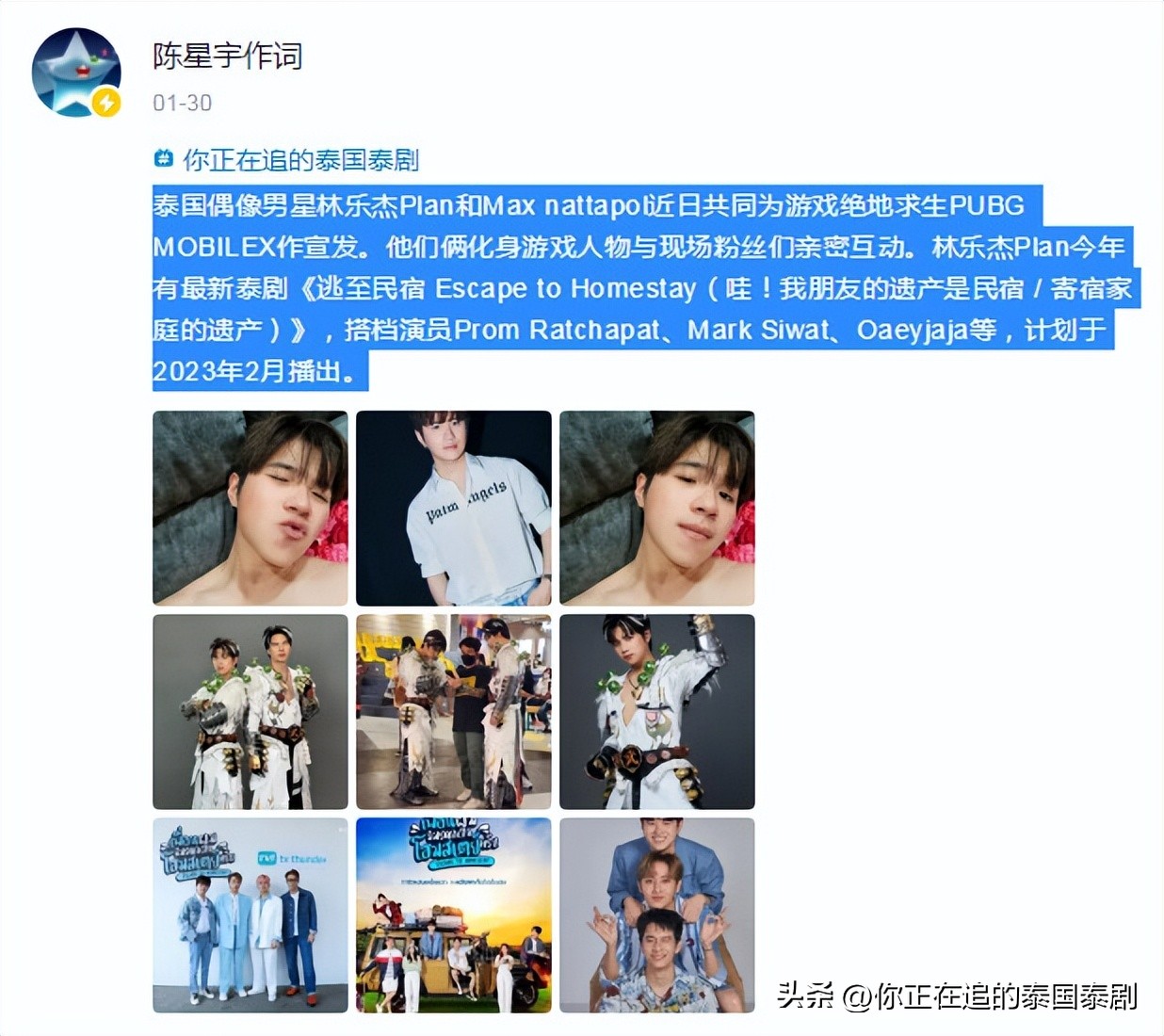 泰国评论陈星宇,泰国人评论陈星宇